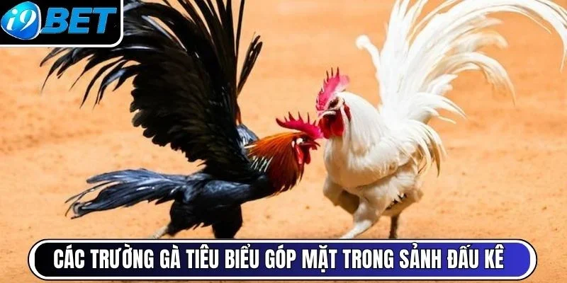 Các trường gà tiêu biểu góp mặt trong sảnh đấu kê 