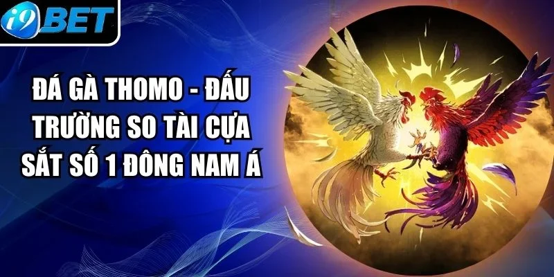 Đá Gà Thomo